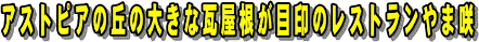 �A�X�g�s�A�̋u�̑傫�Ȋ��������ڈ�̃��X�g������܍�